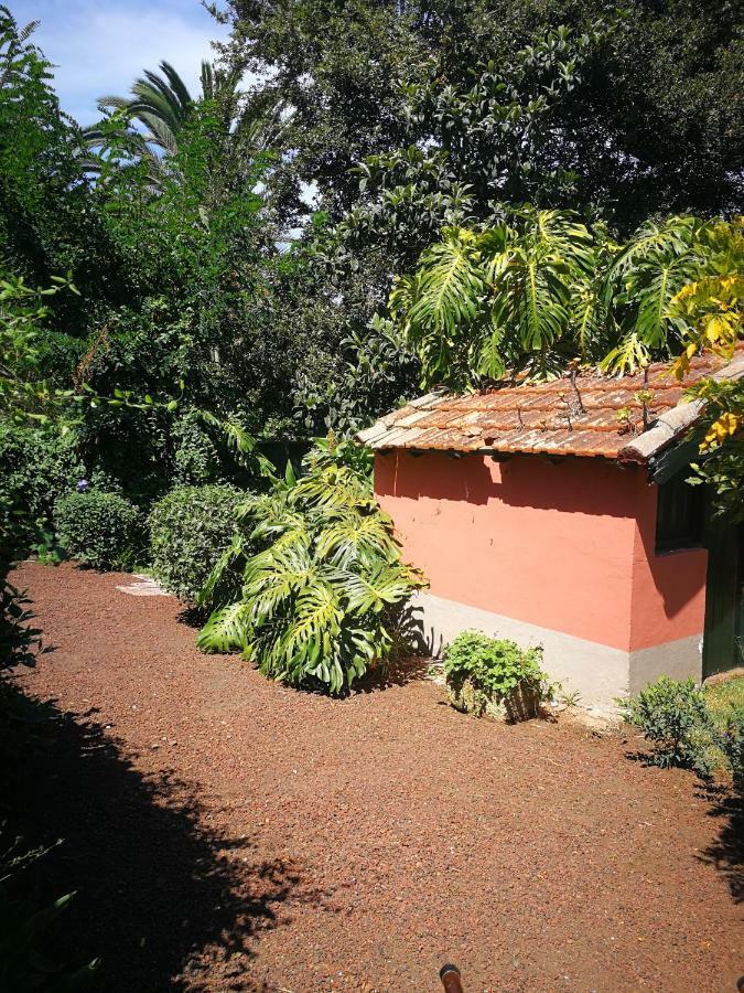 Jardines De Hortensia - Vacation Home Tenerife La Laguna  Exteriör bild