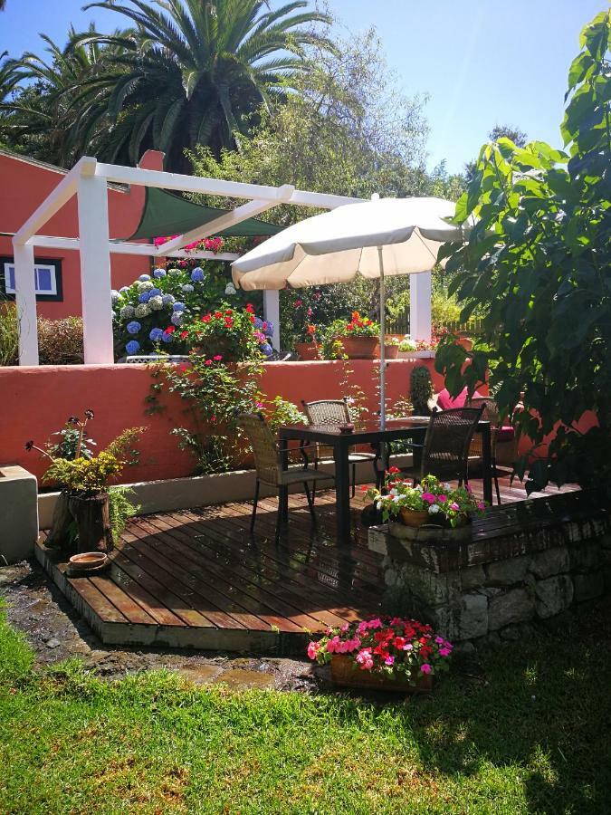 Jardines De Hortensia - Vacation Home Tenerife La Laguna  Exteriör bild
