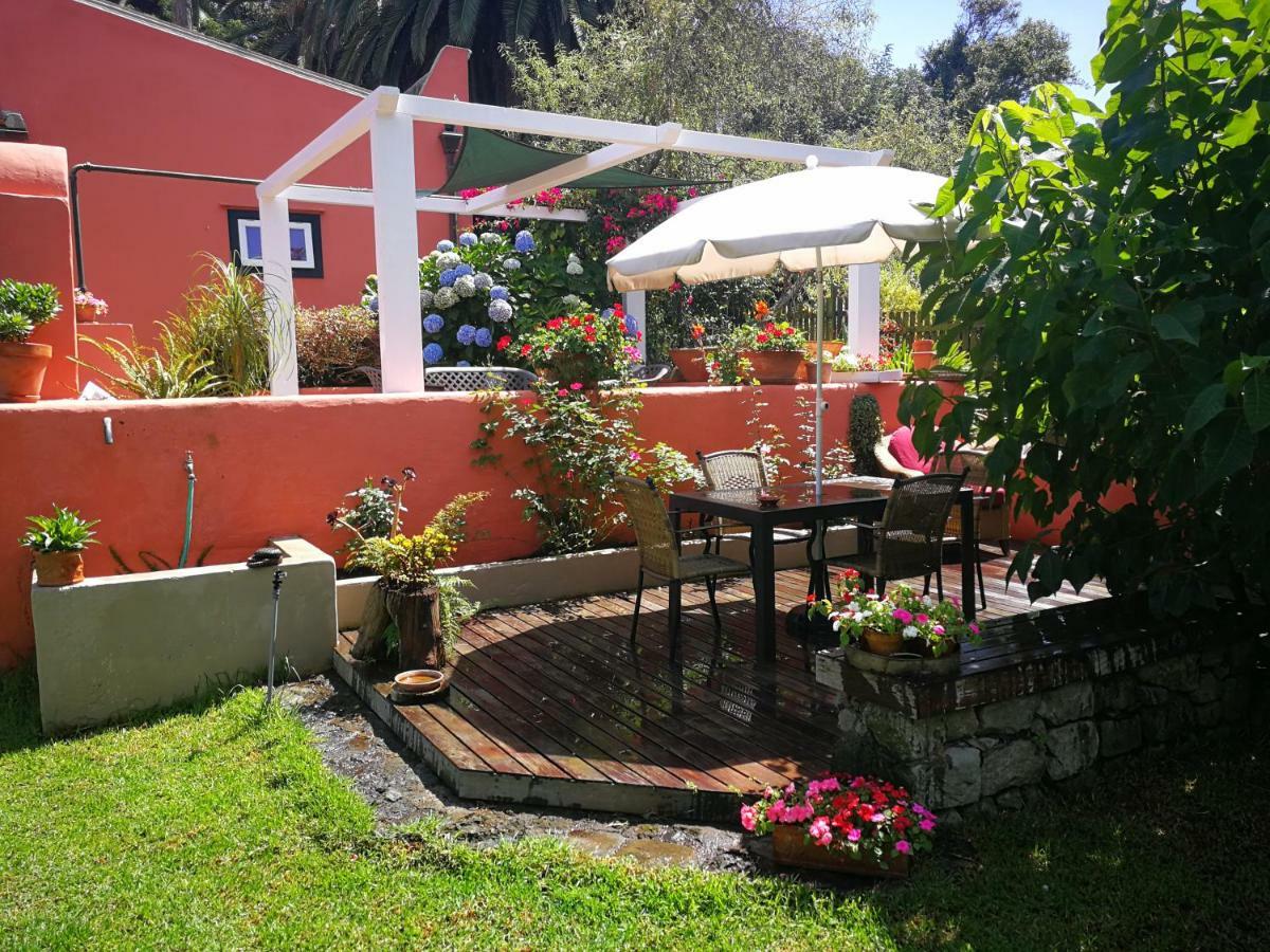 Jardines De Hortensia - Vacation Home Tenerife La Laguna  Exteriör bild